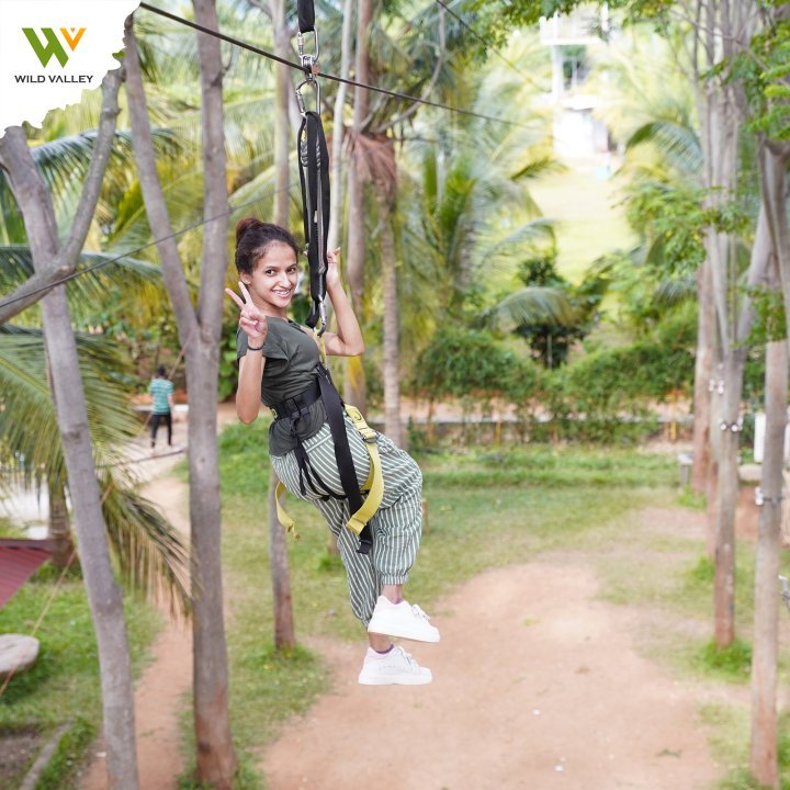 Wild Valley Mountain Bear - Image 7