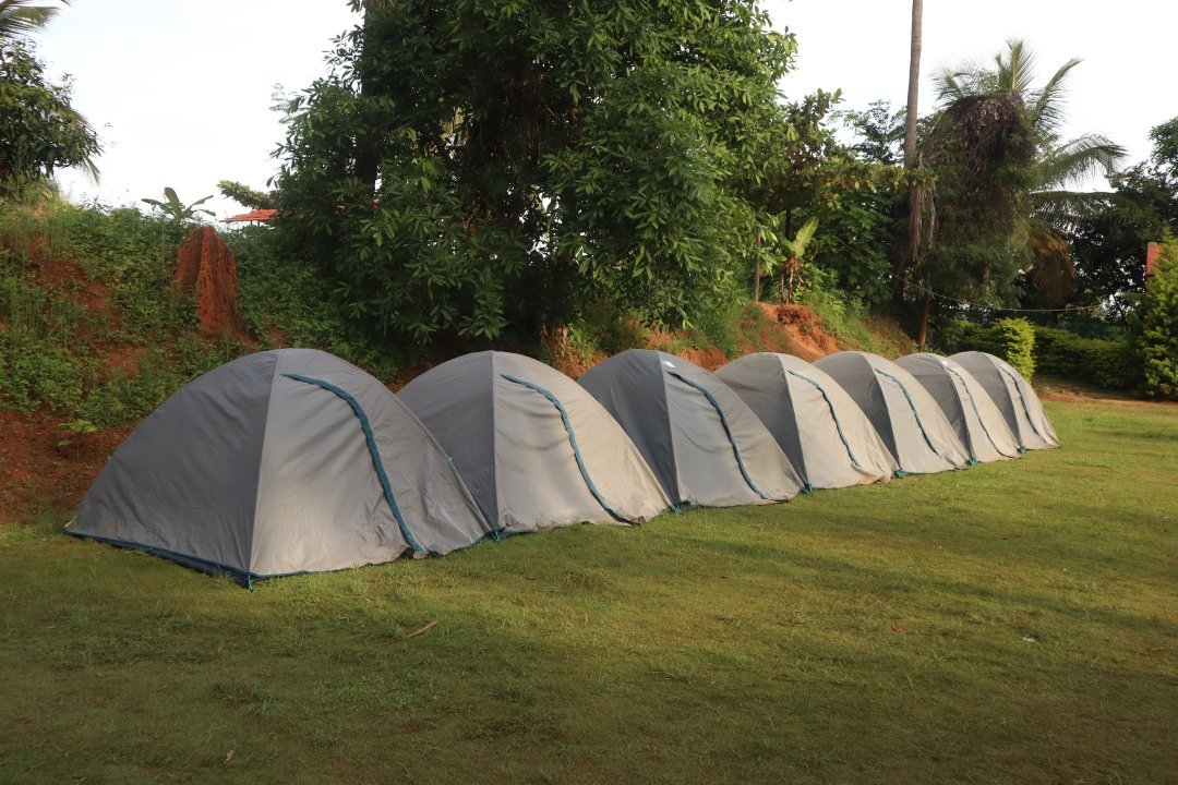 Wild Valley Adventure Retreat