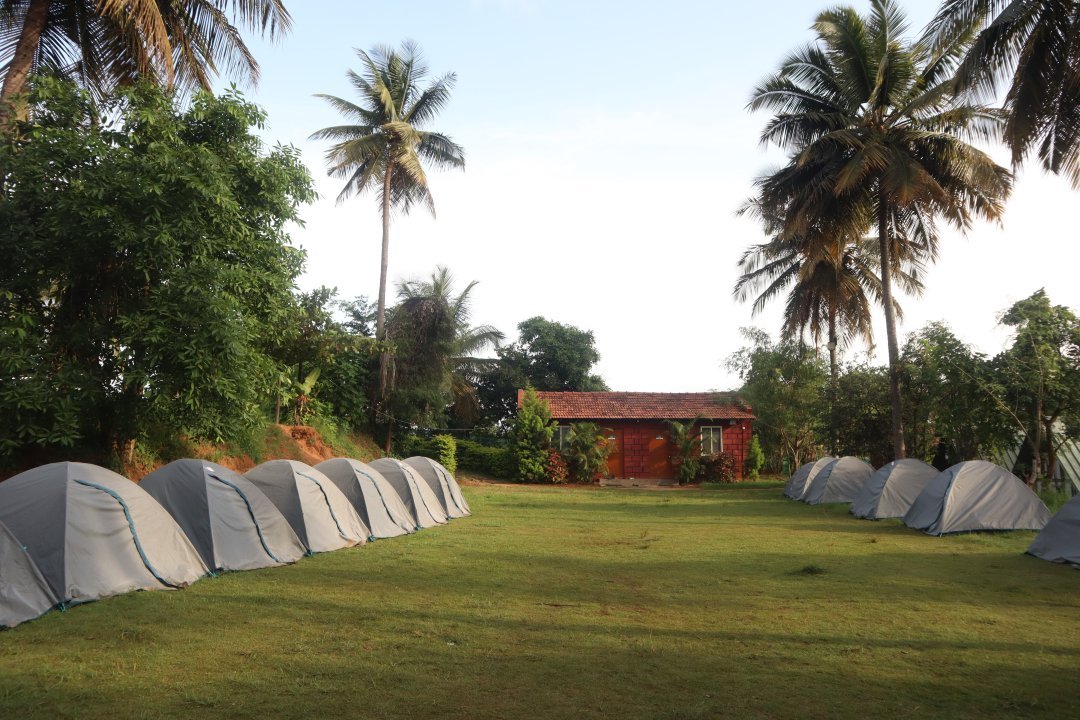 Wild Valley Adventure Retreat