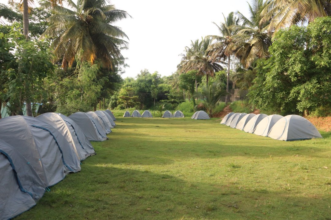 Wild Valley Adventure Retreat