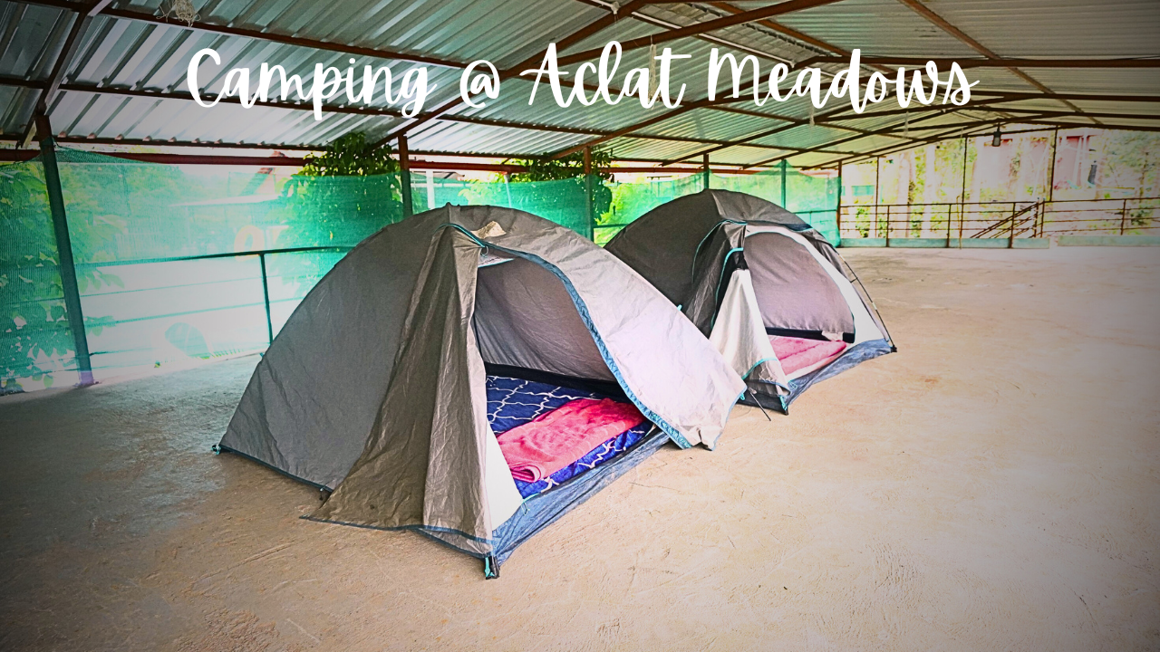Wild Valley Aclat Meadows