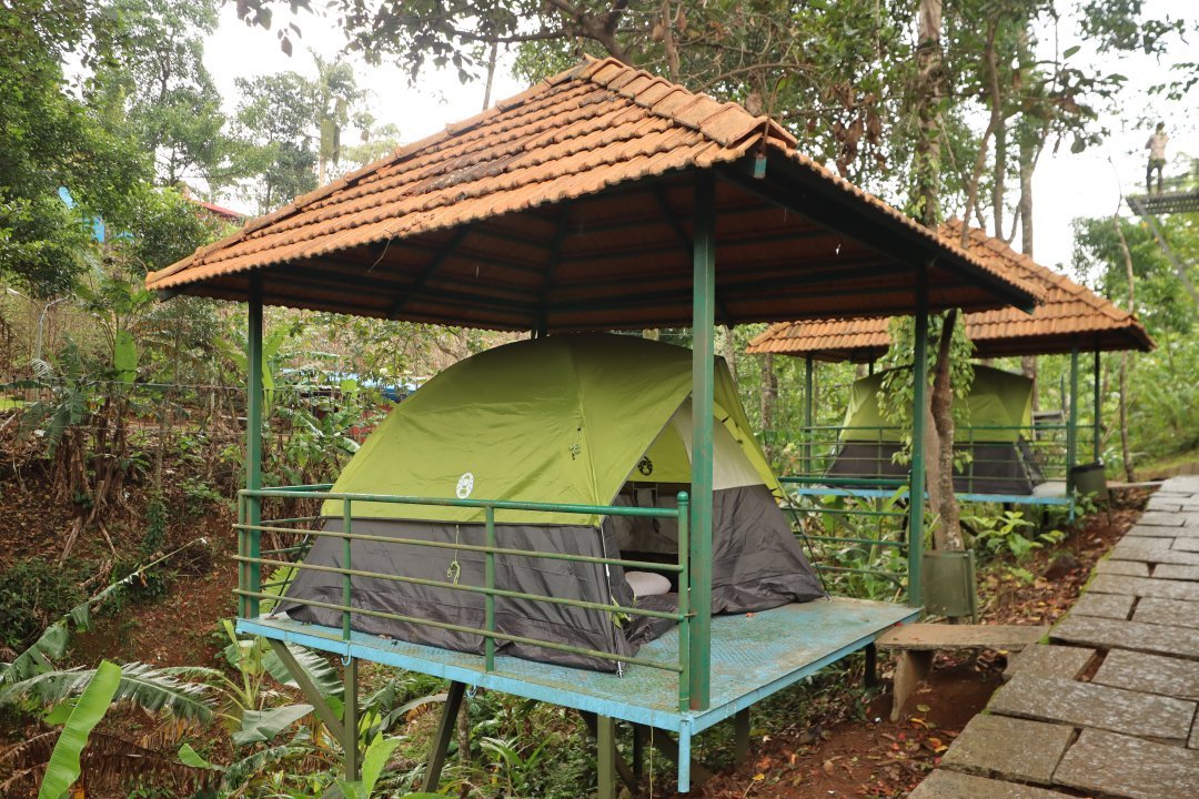 Wild Valley Aclat Meadows