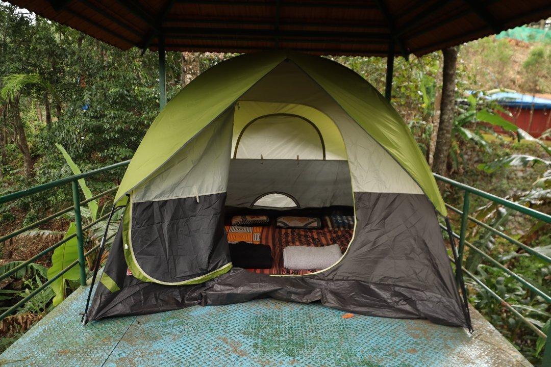 Wild Valley Aclat Meadows