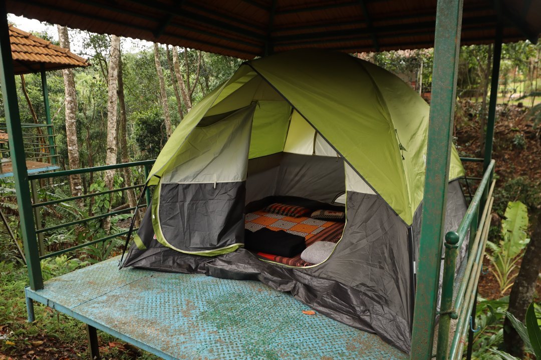 Wild Valley Aclat Meadows