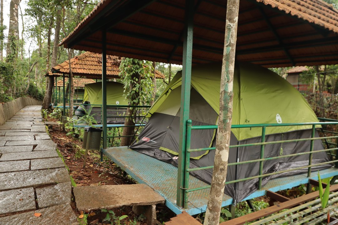 Wild Valley Aclat Meadows - Image 6